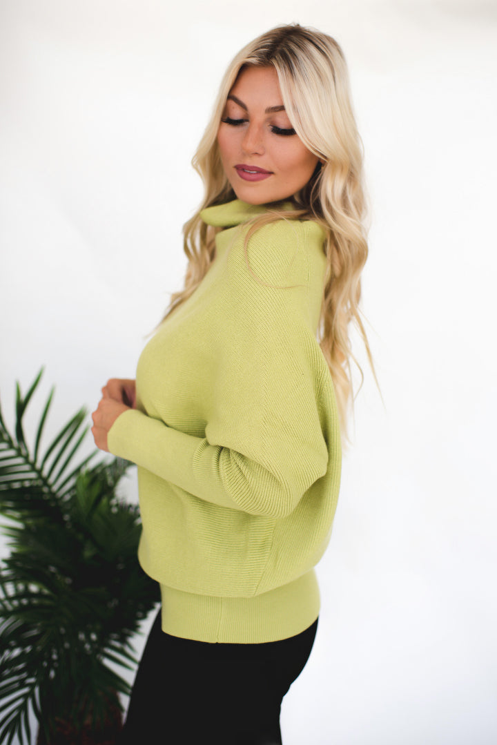 Loose Fit Turtleneck Sweater (Avocado)