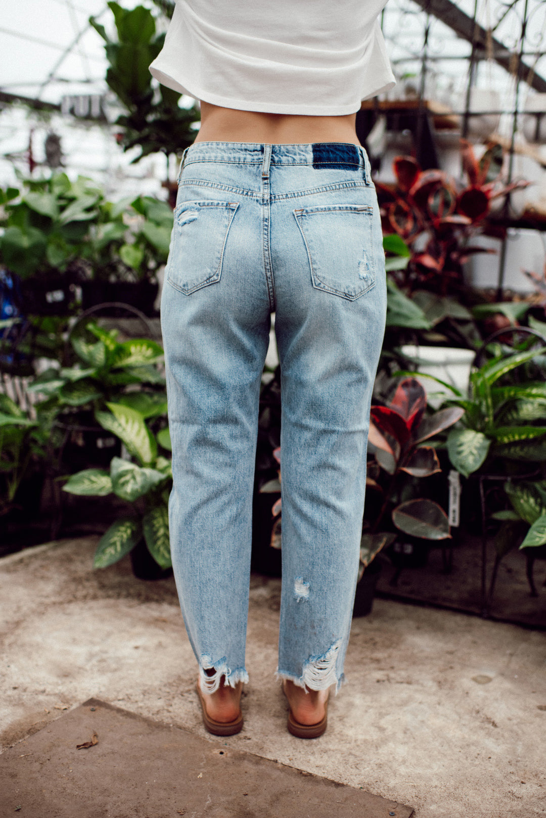 The Sosa Straight Leg Jeans (Medium Wash)